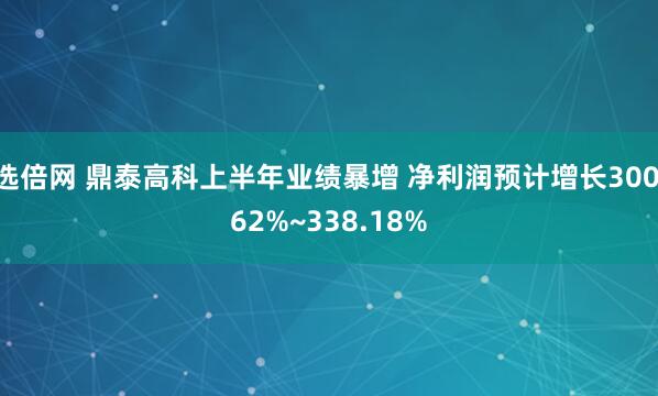 选倍网 鼎泰高科上半年业绩暴增 净利润预计增长300.62%~338.18%